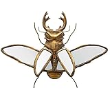 CHEHOMA Spiegel Lucarne Drachen, 39 x 28 cm