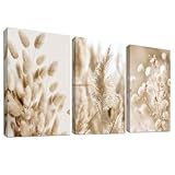 3 Pcs Botanische Wildblume Floral Mit Rahmen Leinwand Bilder Beige Pampasgras Salbei Floral Bild auf...