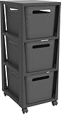 Rotho Brisen Rollcontainer mit 3 Schubladen, Kunststoff (PP recycelt), anthrazit, 3x16l (36,6 x 30,0...