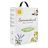 Sonnenstund Weissburgunder halbtrocken 3 Liter Wein-Box, feinfruchtiger Weißwein mit Aromen von...