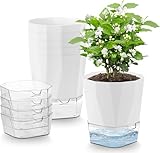 Yimomoyi 6er Set Kräutertöpfe Küche Selbstbewässernd, 12.5cm Blumentopf mit Bewässerungssystem,...