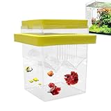 Aufzuchtbox für Aquarien, Fischzuchtbox für Aquarien, Isolationsbox für kleine schwimmende Fische...