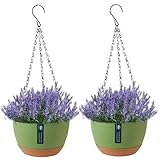 Pesoncarl Hanging Pflanzer 2pcs 8in Selbstbewässerung Topf Beatmte PP Blütentöpfe mit...