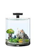 Tetra Explorer Line 30 L Aquarium Komplett-Set - Design Aquarium mit gebogener Frontscheibe,...