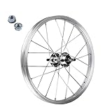 ECOVELO Unisex – Erwachsene Ruota Anteriore Vorderrad, Silber/schwarz, 16 x 1,75 (305x20)