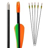 Bogenkönig Pfeile für Bogenschießen 5er Set aus Fiberglas mit Spitze Metal Kinder Bogen 28 Zoll...
