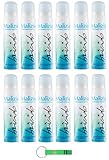 12x MALIZIA Deodorante Donna Brivido Seduction,Deodorant Deo Spray für Damen 100ml + Beni Culinari...