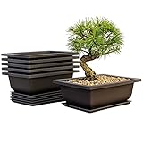 Mollyfox Bonsai Trainingstöpfe, 6-teilig Bonsai Schale mit Tabletts, Kunststoff Bonsai Pflanzen...