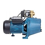 Kreiselpumpe Gartenpumpe 1100 Watt - 3600 L/h - 5 bar + Druckschalter