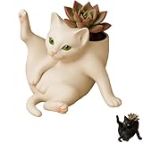 Lustiger Katzen-Übertopf, niedlicher Kätzchen-Sukkulentententopf für Zimmerpflanzen, kleiner...