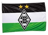 Borussia Mönchengladbach Hiss-Fahne 'Logo' | Offizieller Fanartikel Fohlenshop | Gladbach...