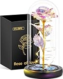 Otlonpe Ewige Rose Geschenke für Frauen, Blumen Geburtstagsgeschenk Weihnachten Geschenke...