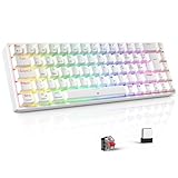 TECURS Gaming Tastatur - RGB Mechanische Tastatur Kabellos Bluetooth/2.4G/Mit Kabel, 65% QWERTZ...