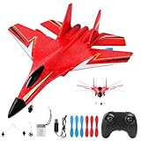 Afenau RC Flugzeug Anfänger, 2.4Ghz Schaumstoff Ferngesteuertes Flugzeug Leicht mit LED-Licht, RC...