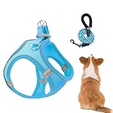 Hundegeschirr Und Leinen Set, Netzgeschirr und Hundleinen Kombi, Reflektierende Welpen Kätzchen...