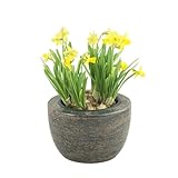 designgrab Granit-Grabschale Modern Gneis Halmstad rötlich-grau 24 cm, poliert & würdevoll