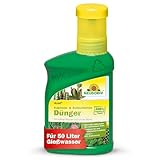 Neudorff Azet Kakteen- & SukkulentenDünger - 100% natürlicher Bio Dünger für kräftig grüne...