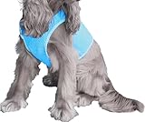 PetsHome Coole Weste - Hund - M - 66 cm - Blau PVA