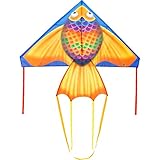 HQ Delta Rainbow Fish 140 cm Kinderdrachen Drachen Flugdrachen Einleiner Drachen zum steigen Lassen,...