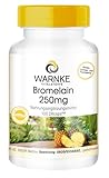 Bromelain Kapseln - 250mg Bromelain pro Kapsel - 100 Kapseln - 600 F.I.P - natürliches Ananasenzym...