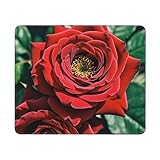 Red Rose Foto-Gaming-Mauspad, 25,4 x 30,5 cm, niedliches Mauspad mit genähten Kanten, rutschfest,...