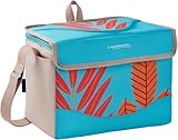 Campingaz Ethnic Minimaxi 9 Liter Kühlbox | Isolierte Tasche hält Speisen und Getränke bis zu 8...
