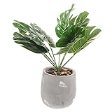 PRETYZOOM Schildkrötenblatt Topfpflanze Boden Bonsai Ornament Kleines Bonsai Ornament Künstliche...