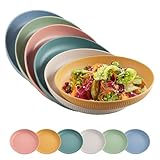 FUNYKICH 6x 23CM Speiseteller Set, Leicht Camping Teller aus Kunststoff, unzerbrechlich & mehrweg &...