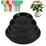 16 Blumentopf Untersetzer Blumentopf, Kunststoff Blumentopfuntersetzer,Blumenuntersetzer Rund 12cm...