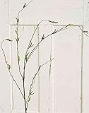 artplants.de Kunst Birkenzweig AZIR mit Blüten, braun-grün, 125cm - Deko Birkenzweig