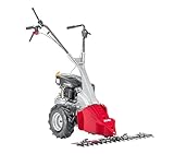 AL-KO Balkenmäher BM 875 IV, 2.7 kW Motorleistung, 87 cm Arbeitsbreite, für Flächen bis 3000 m²,...