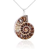 GUMEI Natural Ammonite Fossils Anhänger Halskette Fossilien Stein Anhänger Modeschmuck
