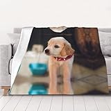 SATUSA Flanelldecke mit Hunde-Aufdruck, warm, ultraweich, Mikrofleece-Decke für Bett, Couch,...