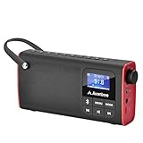 Avantree 3 in 1 Portable Tragbares FM Radio, Klein Mini Radio mit Bluetooth Lautsprecher, SD Card...