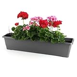 GarPet Blumenkasten Balkon Balkonkasten mit Halterung Blumenkasten mit Wasserspeicher Fensterbank...