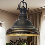 bamyum Ulmete Hängelampe Industrial Vintage Ø30cm Metall, Kupferfarbe Hängelampe Wohnzimmer...