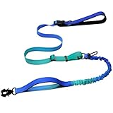 Strapazierfähige, freihändige Hundeleine mit Schnellverschluss-Karabiner und verstellbarem...