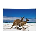 Esperence Lucky Bay Beach Kangaroo Western Australia One Side Printed Holiday Banner For House Lawn...