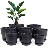 Homeuouz 8 Packs Blumentopf mit Untersetzer, 19/17.5/16.5/16/14/13/11.5/10cm Pflanzentopf, Plastik...