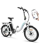 KAISDA E Bike Klapprad 20 Zoll Alu Mit 250w Motor 36V 13Ah Li-ion Akku Bis 100km Distanz, 7-Gang,...