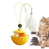Generisch Indoor Katzenspielzeug,Interaktives Lernspielzeug Für Haustiere,Katzenangel | Für kleine...