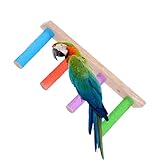 Qurygin Sittichleiter - Kletterleiter aus Holz | Multifunktionale Krallenschärfwerkzeuge,...