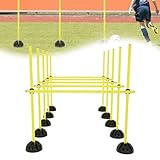ORHEYA Agility Grid Set Sprungstangen Set Trainingsstangen Agility Hürden für Konditionelles...