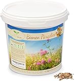 Magic of Nature Blumensamen Mischung - Bienen Paradies - 1kg - Kinderleichte Anwendung -...