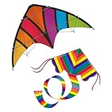 Günther Flugspiele 30121 - Sportlenkdrachen Top Loop & Einleinerdrachen Rainbow, 2 Stück, Outdoor...