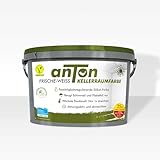 Anton | Kellerraumfarbe | Weiß | für Allergiker | Vorbeugend und sofort gegen Schimmel | deckt...