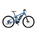 FISCHER E-Mountainbike MONTIS EM 1862 Elektrofahrrad für Damen und Herren, RH 48 cm, Mittelmotor 80...