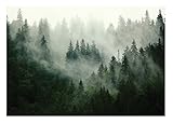 WallArena - Vlies Fototapete Wald Nebel Landschaft Grün Natur Bäume 368x254 cm - Fototapeten -...