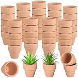 50 kleine Terrakotta-Töpfe, 1,2 Ton mit Drainagelöchern für Sukkulenten, Kakteen und...