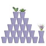 Sderoq Blumentöpfe aus Ton, 7,6 cm, mit Ablaufloch, für Sukkulenten, Kakteen, Blumentöpfe Ideal...
